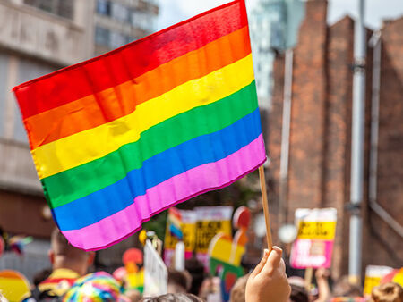 Учени от САЩ предупреждават за опасност от маймунска шарка в LGBTI сезона