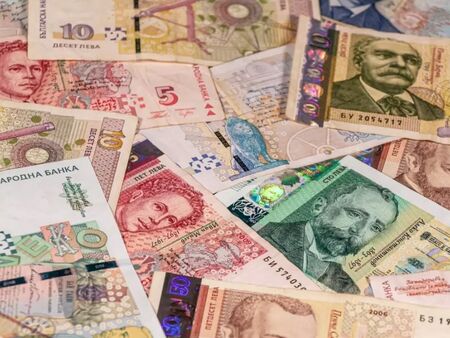 Българин плати над 7 милиона лева данък върху доходите си