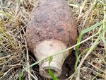 Откриха силно корозирала мина с взривател в двора на къща в Средецко (СНИМКИ/ВИДЕО)