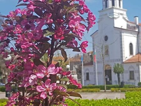 Празникът на духовността „Света Богородица – Достойно есть” предстои в дните от 7 до 11 юни