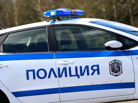 Кола със седем деца се заби в дърво край Козлодуй, две от тях загинаха