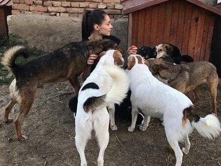 Следван само кучета и вегани в социалните мрежи призна Валерия