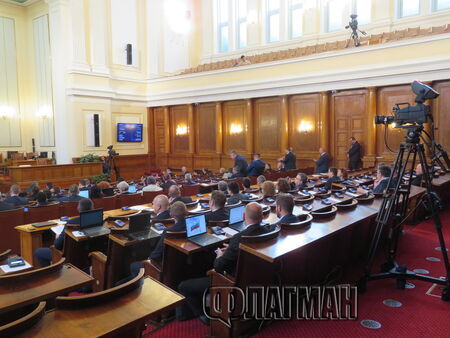 Кандидатът за шеф на НЗОК Иванка Динева се отказа от