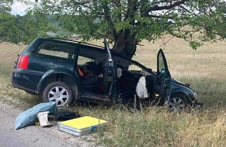 Шофьор загина при удар в дърво