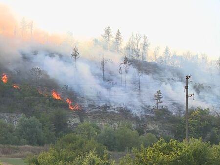 Горя боровата гора до вилната зона на Русе, пожарът вече е овладян