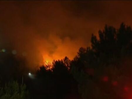 60 хектара гора на остров Хиос изгоряха, потушиха пожара