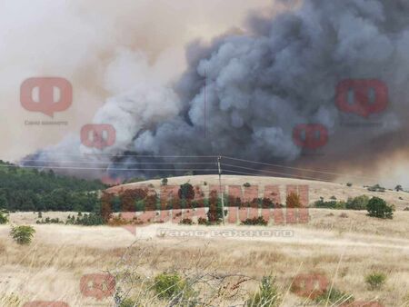 Извънредно! Огромен пожар върлува на север от Бургас, фронтът е чудовищен (СНИМКА/ВИДЕО)