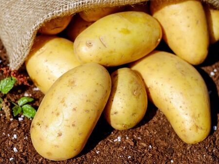 Все по-малко родни картофи на пазара, производителите нямат печалба