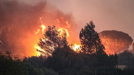 Не ходете в Гърция! Десетки пожари в страната, в Александруполис „вали“ пепел