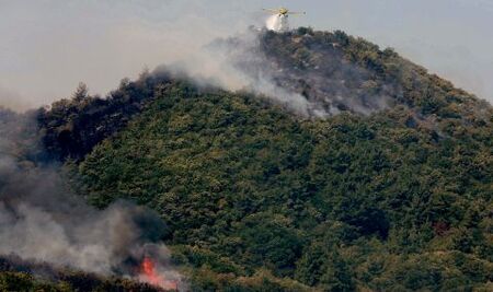 19 са жертвите от опустошителния пожар край Александруполис