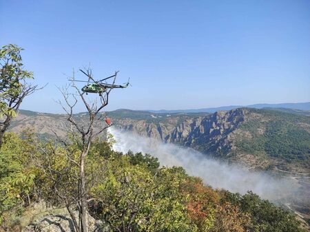 Мълния предизвика два пожара в гората, мобилизират хеликоптер