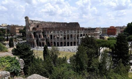 Заради жегите и туристите плъховете в Рим стават все повече