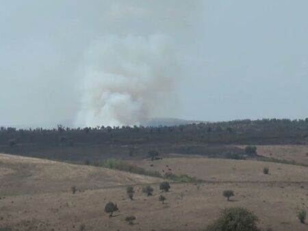 Над 15 000 декара сухи треви, храсти и дървета изгоряха при пожари край границата с Турция