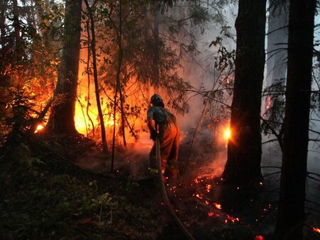 Над 15 000 декара сухи треви, храсти и дървета изгоряха край границата с Турция