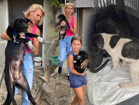 Историята на Кина Атанасова - спасителката на животни от потопа в Царево