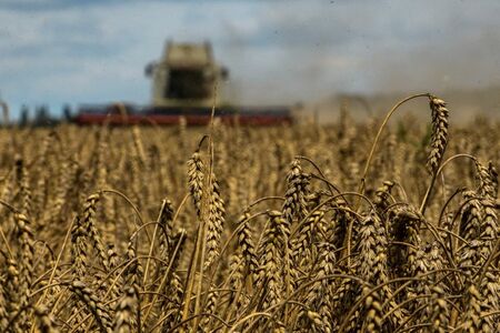 Румъния няма да внася украинско зърно още 30 дни