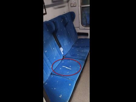 Вандали нарязаха нови седалки във влака Бургас-София