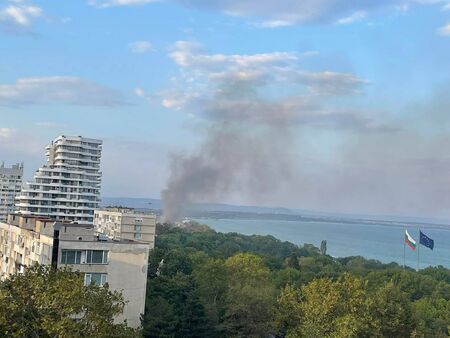 Извънредно! Огромен пожар вилнее над Морската градина в Бургас