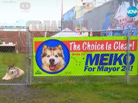 Куче участва в избори за кмет