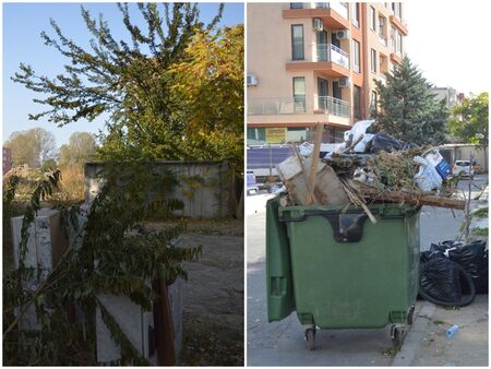 През летния сезон миризмите в курорта са неописуеми
Кадрите не са