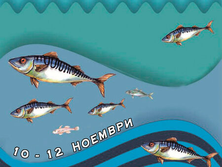 Националният рибен фестивал „Есенни пасажи“ очаква своите приятели в Несебър в дните 10-12 ноември