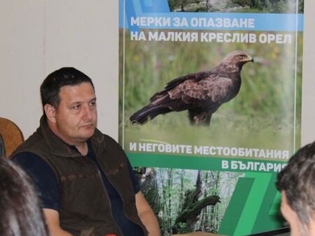 България със стабилна популация на малкия креслив орел