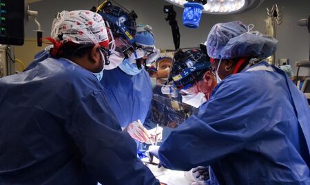 Извършиха първата в света трансплантация на цяло око