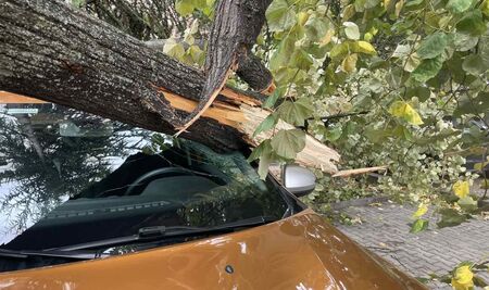 Временно движението по бул Илиянци е спряно в двете посоки