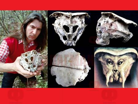 (М)истерия с черепа от Родопите, бил на извънземно без уста