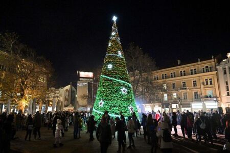 13-метрово коледно дърво ще грейне в Пловдив