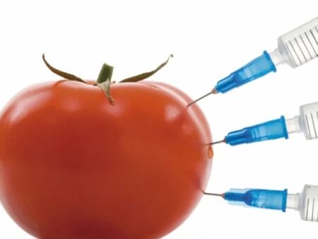 Ще ни тъпчат с ГМО храни без да знаем