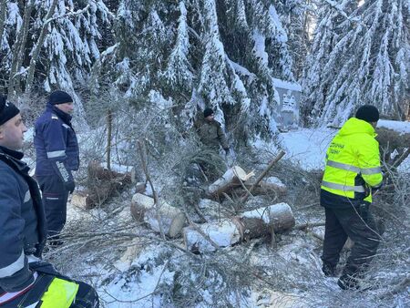 Мъж с диабет бедства в планината, тези герои го спасиха