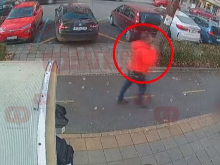 Четириногото било блъснато от кола преди да го ритне Мъжът