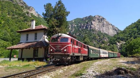 Родопската теснолинейка - всички я обичат, но печалба не носи