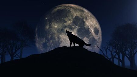 Тази вечер изгрява мистична Вълча луна: Ето какво ще донесе тя за всяка зодия