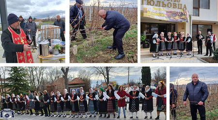 За 13 път в несебърското село Гюльовца бе отбелязан празникът на младото вино