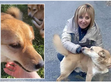 8 месеца дирят убиеца на кучето на Мая Манолова