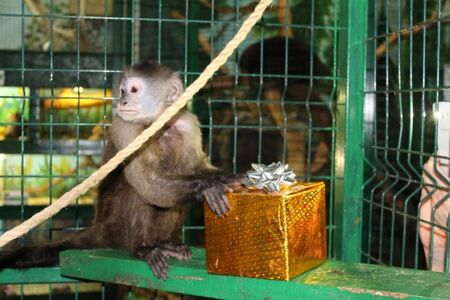 Съпругата на Пламен Бобоков блесна в галерията на Ники Младжов (СНИМКИ)