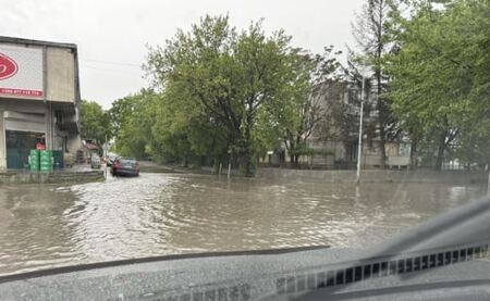 Съпругата на Пламен Бобоков блесна в галерията на Ники Младжов (СНИМКИ)