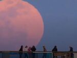 „Розова луна“ над Флорида