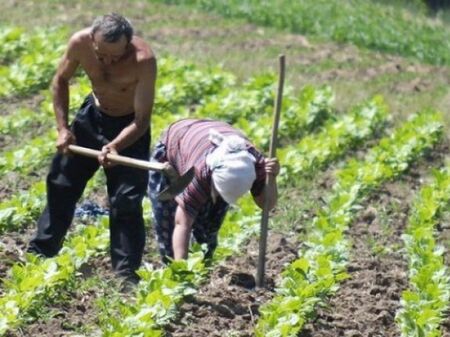 Вижте къде в Бургас да изкарате курс за оръжие или да постреляте за удоволствие