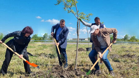 Служители на АПИ засадиха дървета в района на обходния път на Бургас