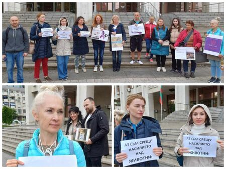 Зоозащитници излязоха на протест в Бургас срещу садизма над животните