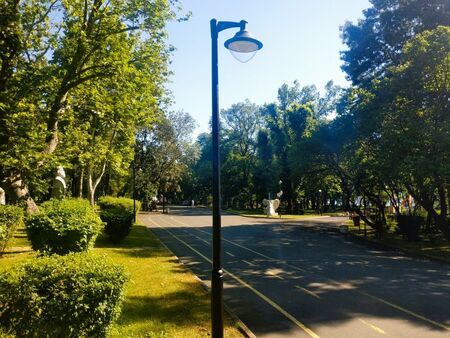 Монтират близо 200 нови осветителни стълба в Морската градина