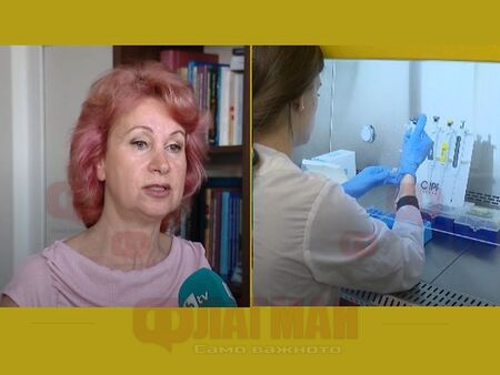 Възможна ли е епидемия от маймунска шарка? Проф. Ива Христова заговори за тлеещи огнища