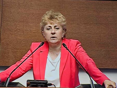 Стих, вместо политическа декларация: Виктория Василева от "Величие" рецитира Дамян Дамянов от трибуната