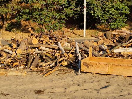 Концертът по повода таз и година се очаква да бъде