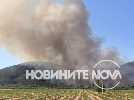 Голям пожар край Мъглиж