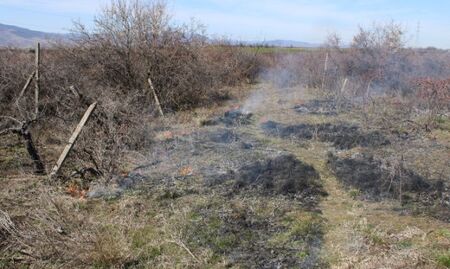 Пожар унищожи 1500 декара в землището на Свиленград