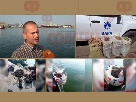 Погнаха бургаските рибари заради добив на миди с драга
